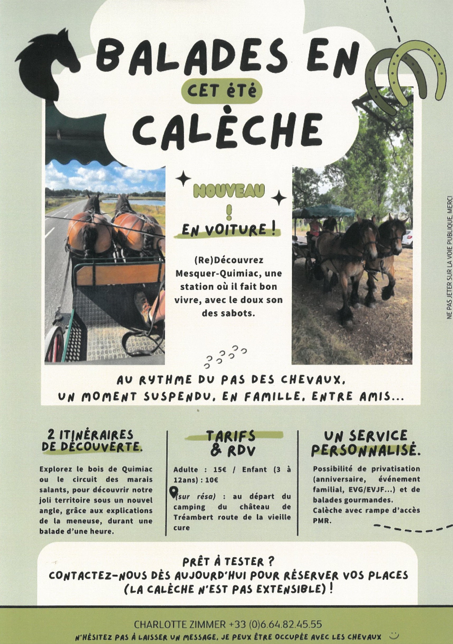balade en calèche Mesquer-Quimiac _1