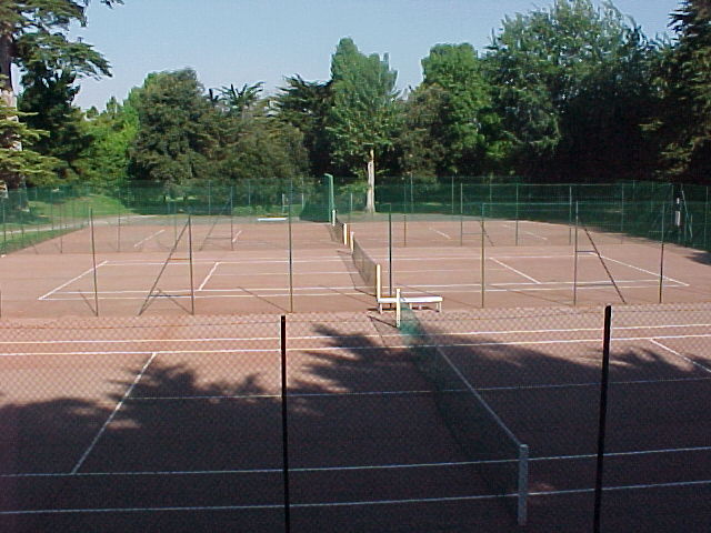 bois-tennis-393539_1