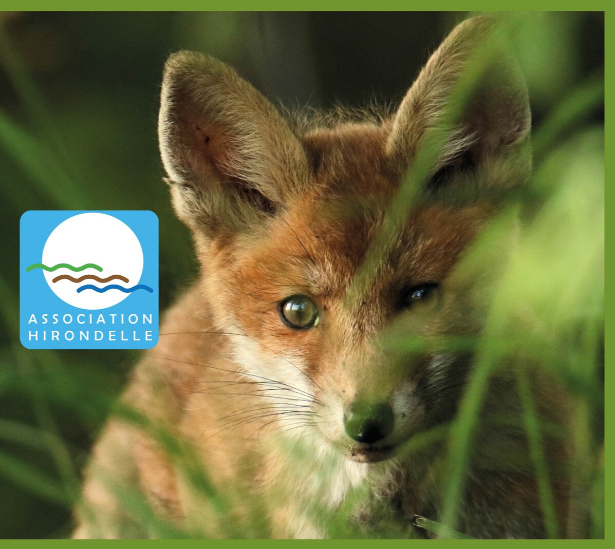 A La découverte de la nature_1