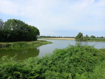 Etang de la Beusse à Sainte Pazanne_1