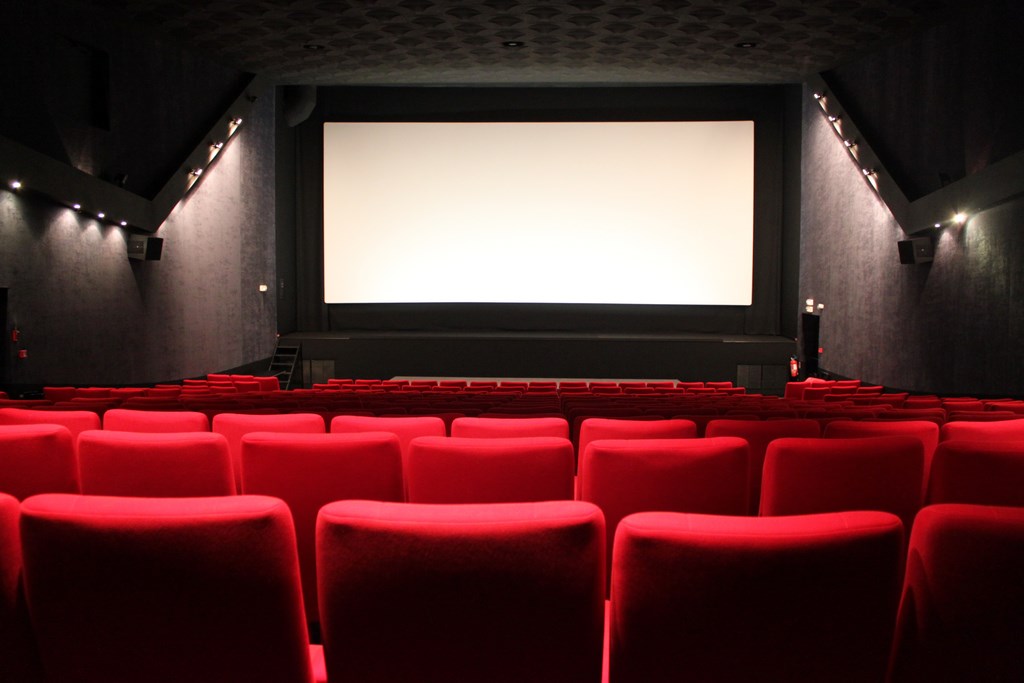 2016-cinema-le-cep-vallet-44--levignobledenantes-tourisme-LOI (1)