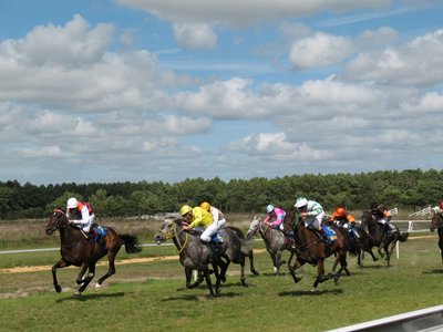 courses-hippiques-le-gavre-44-fma-1