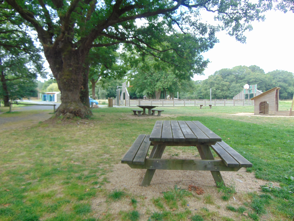 aire-pique-nique-city-stade