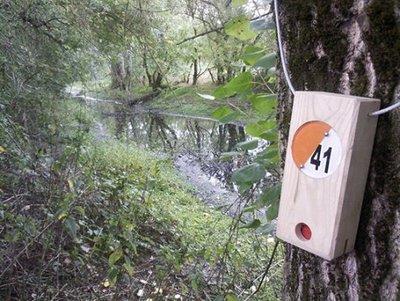 Balise du parcours d'orientation Ancenis-Saint-Géréon