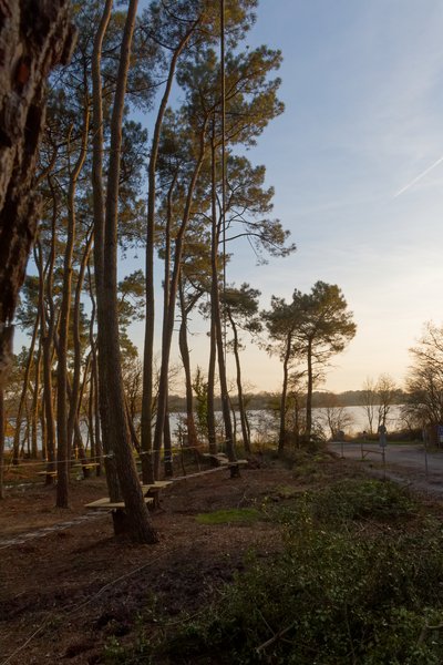 Vioreau Parcours Aventure - Accrobranche