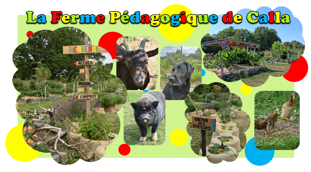 PHOTO-2026-LA FERME PEDAGOGIQUE DE CALLA_1