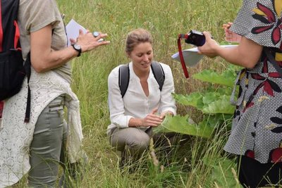 Antidotes des Bosquets