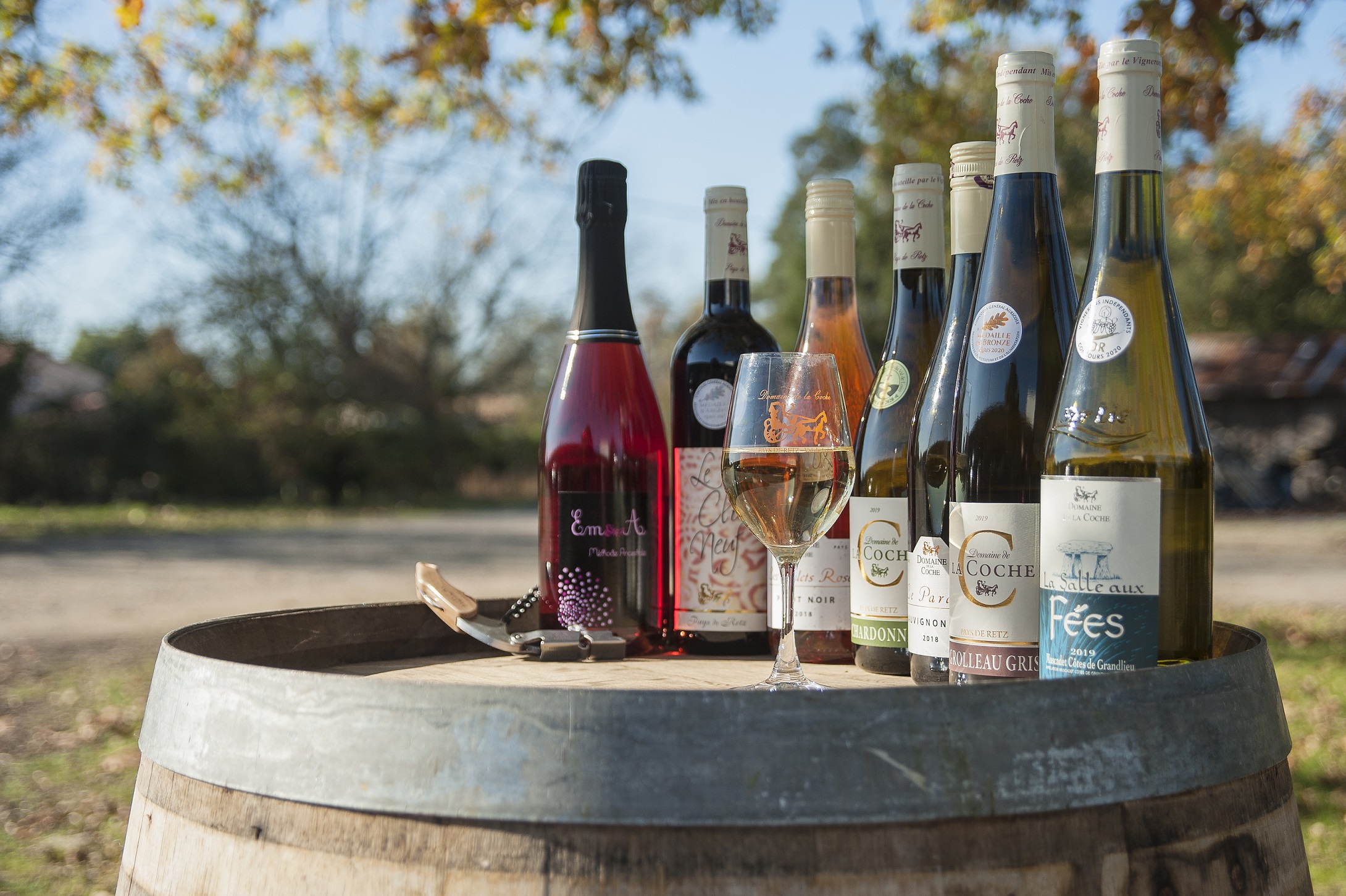 Dégustation au Domaine de la Coche_1