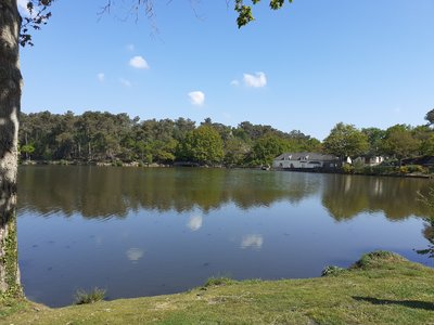 Etang de la Roche - Marsac sur Don