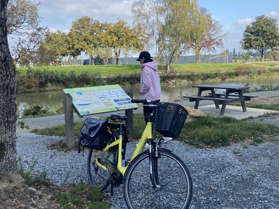 Etang du Tertre Rablais - Louisfert