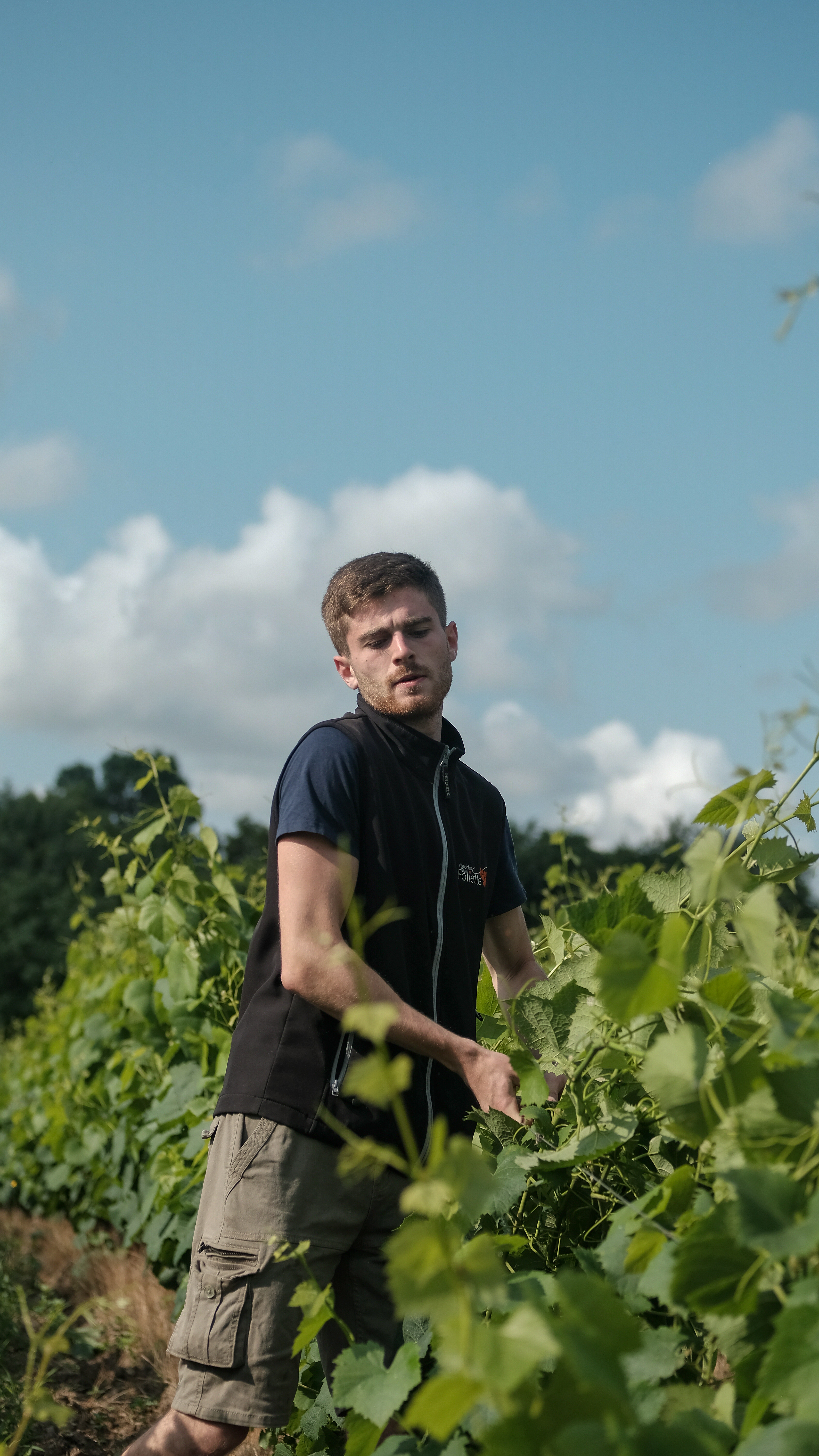 DOMAINE DE LA FOLIETTE