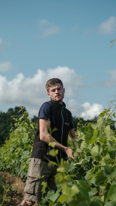 DOMAINE DE LA FOLIETTE