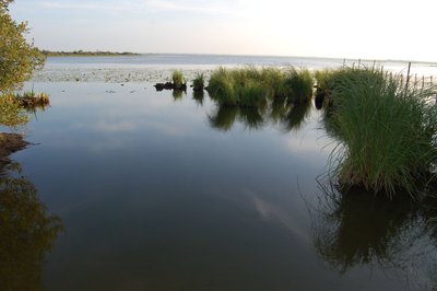 GDF-H44G032549_10