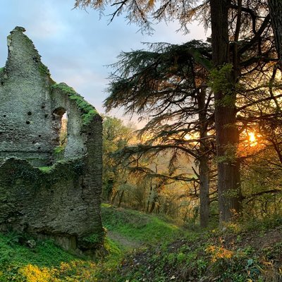 Château de Vieille Cour