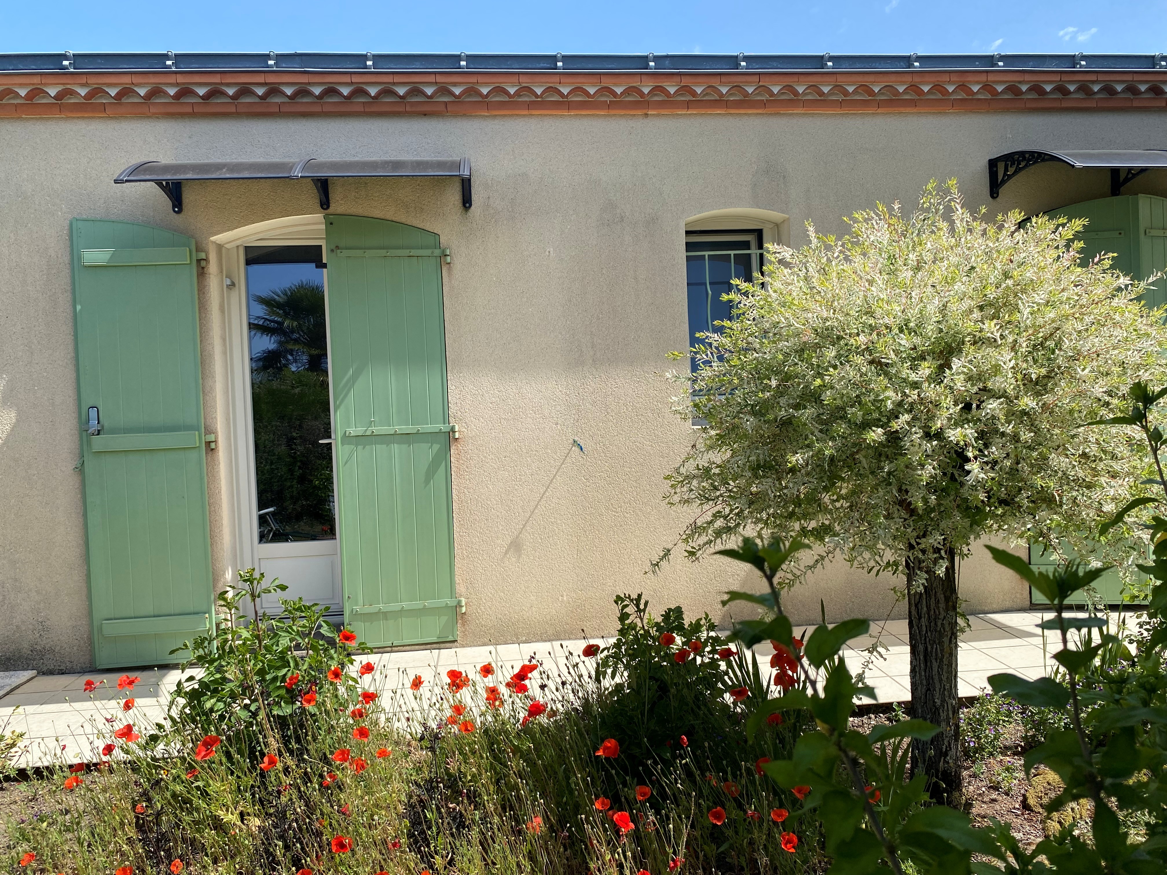 photolaMaisonauxvoletsverts