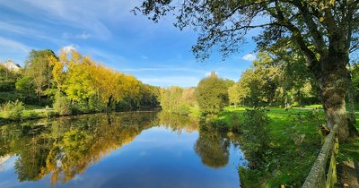 Etang-du-Bas-du-Tertre--St-Aubin-des-Chateaux