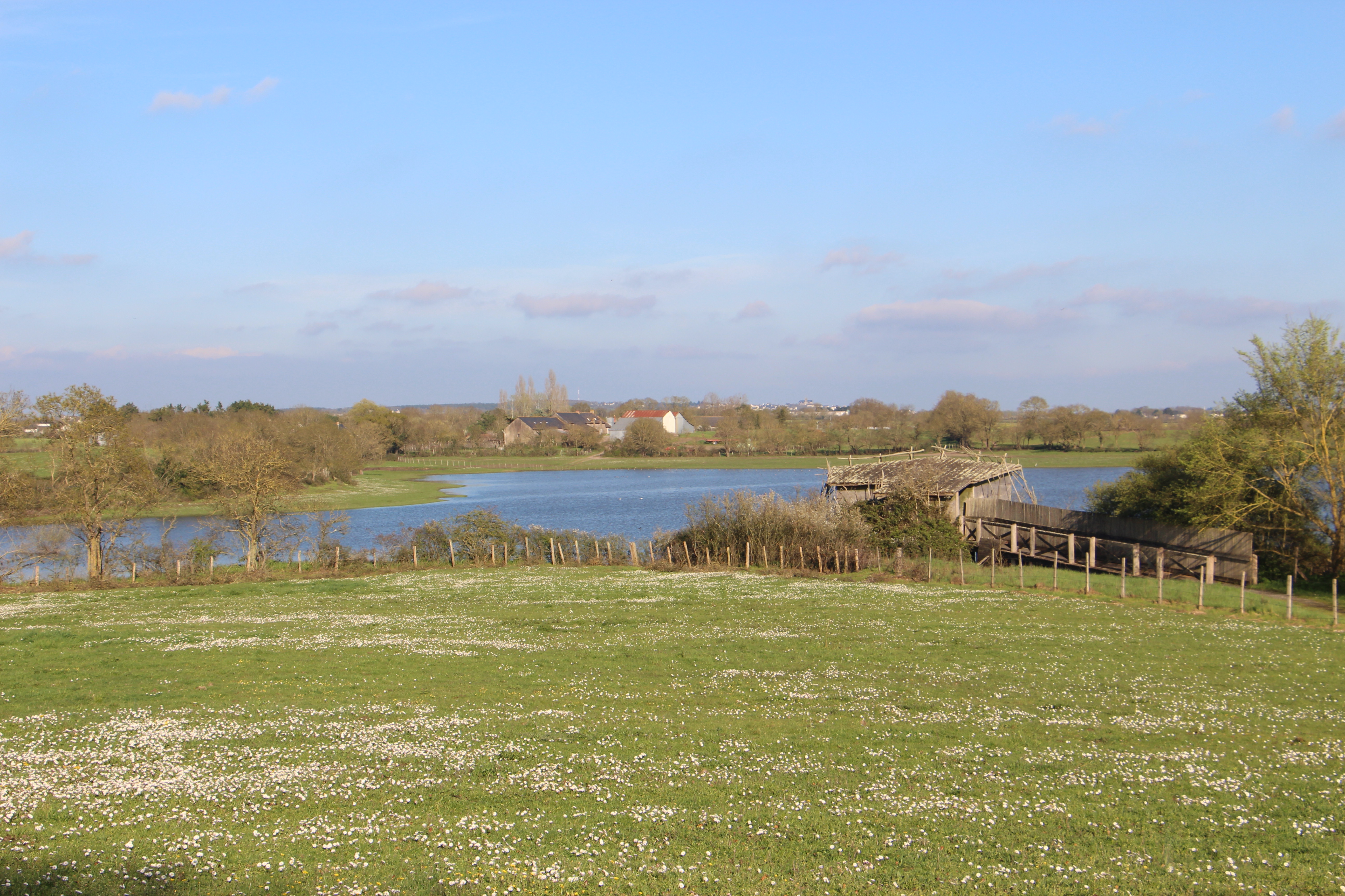 Marais de Grée