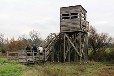 Observatoire de Rostu - Mesquer_1
