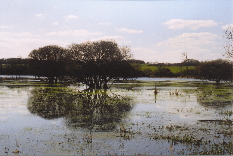 marais de marongle - D Baconnet_800x532_1