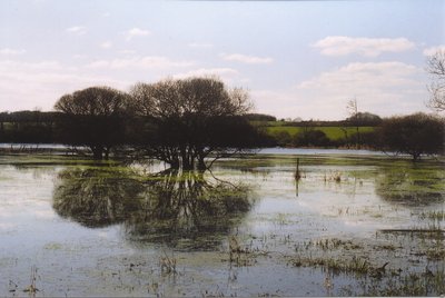 marais de marongle - D Baconnet_800x532_1