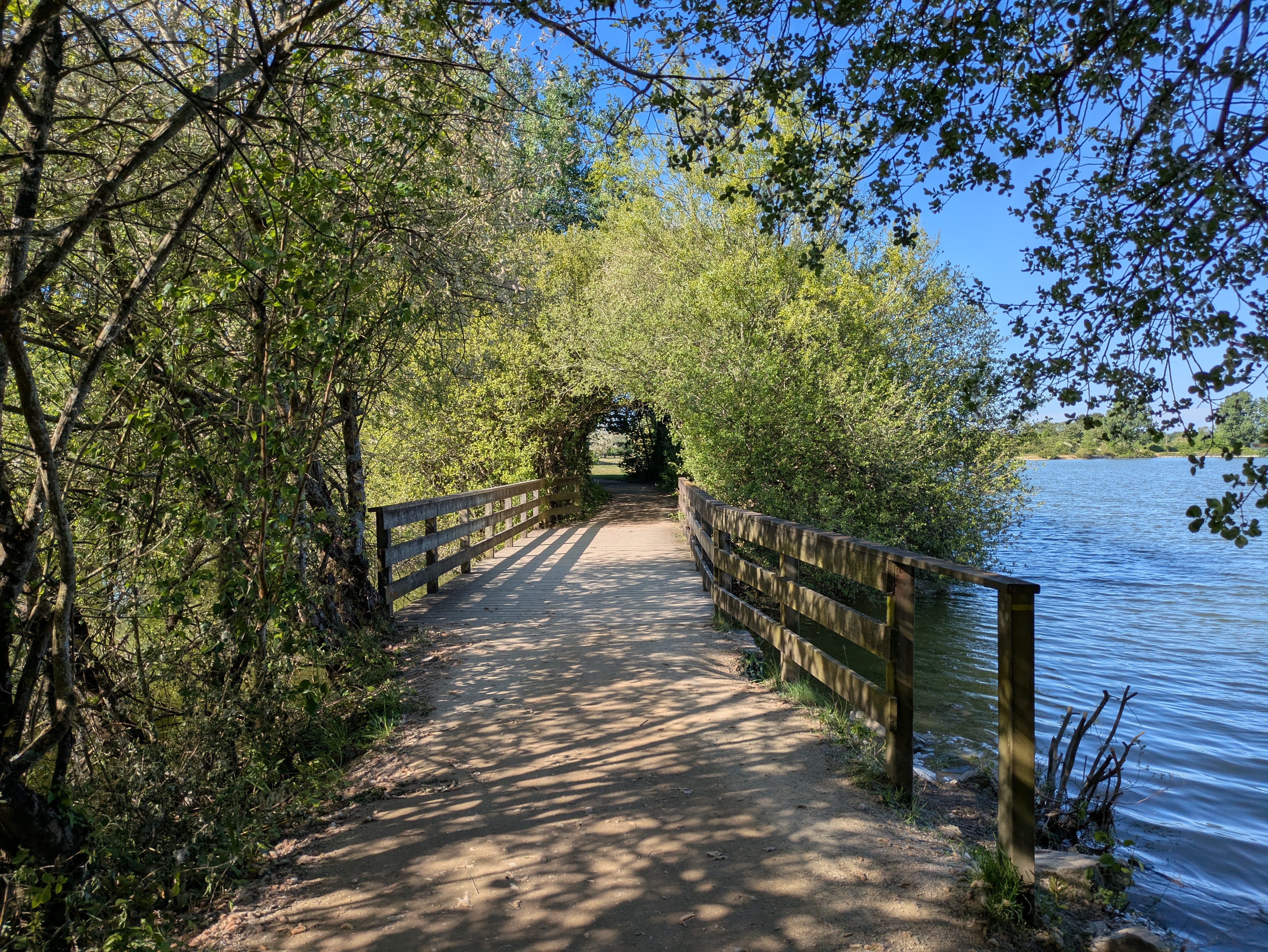 Grand etang