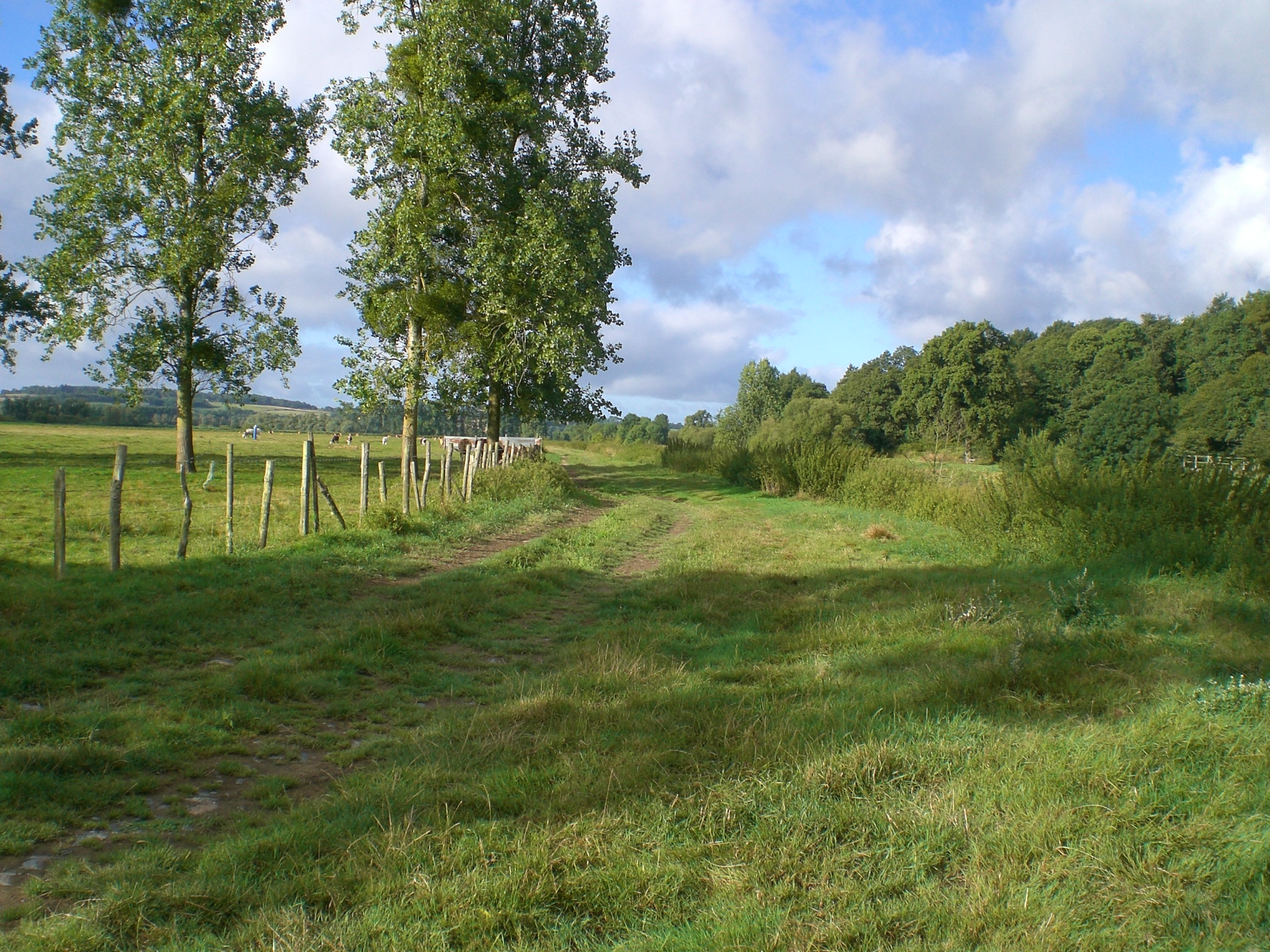 Marais de Masserac_1