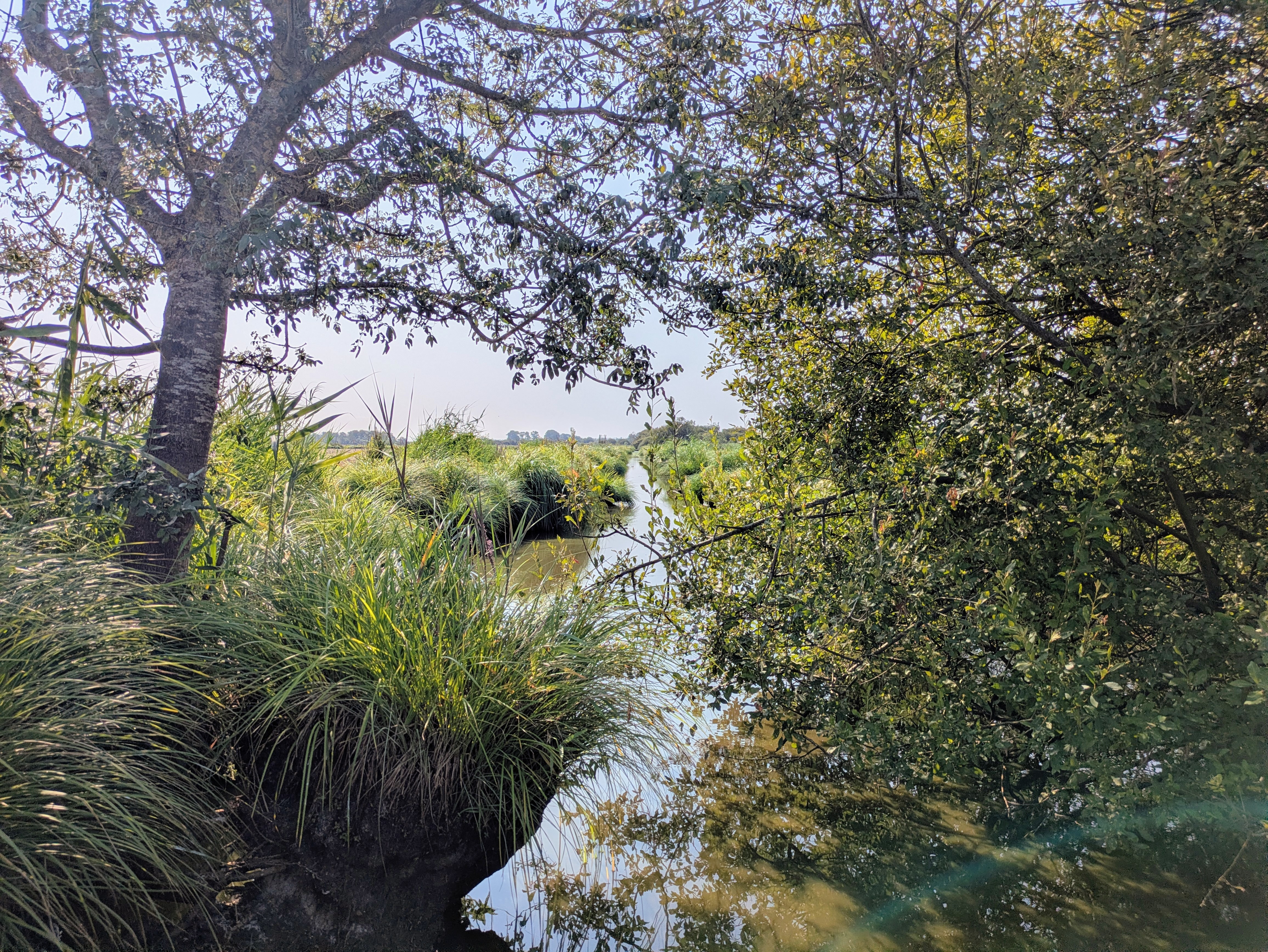 Marais de Grandlieu