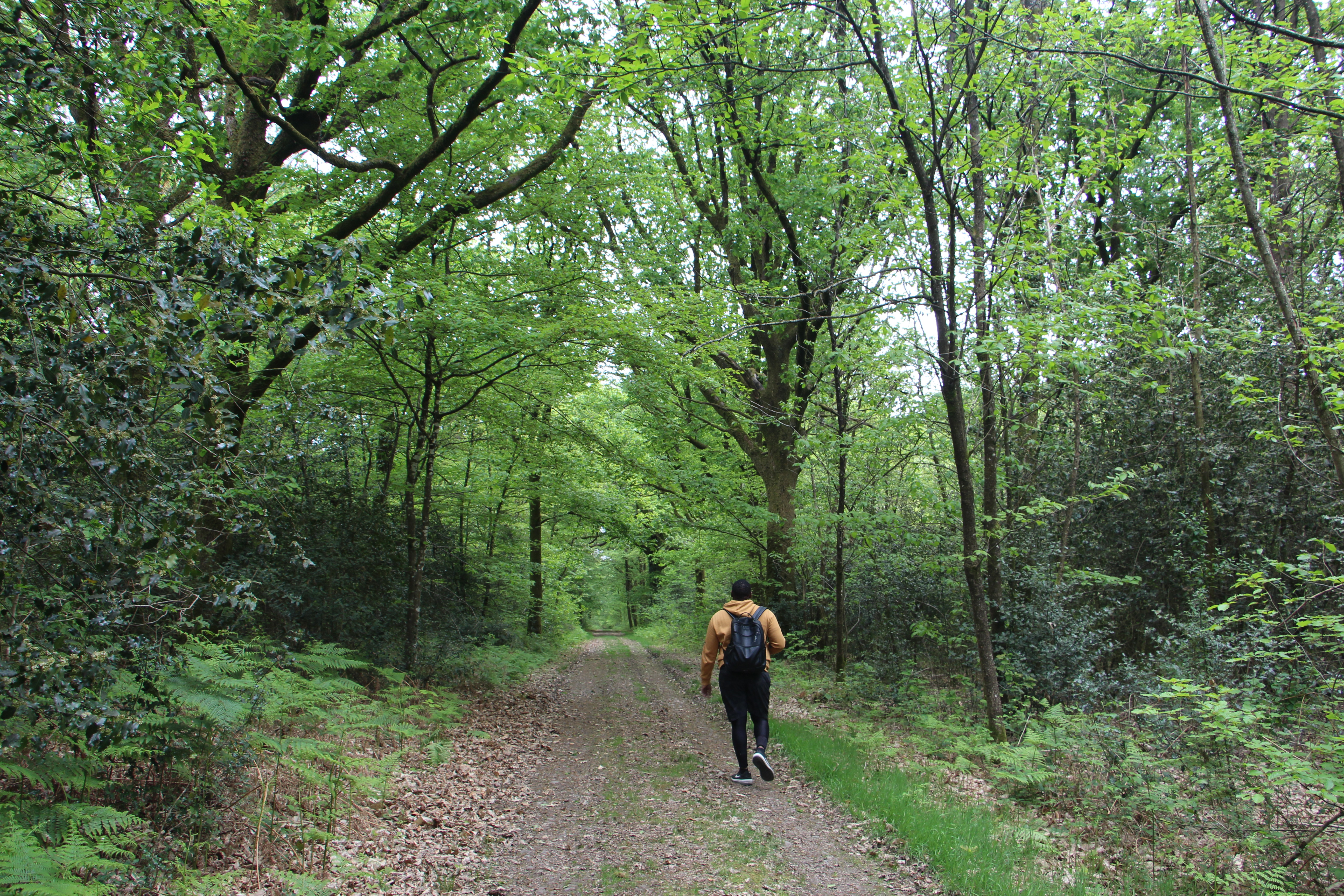 Circuit de la Rotte aux loups