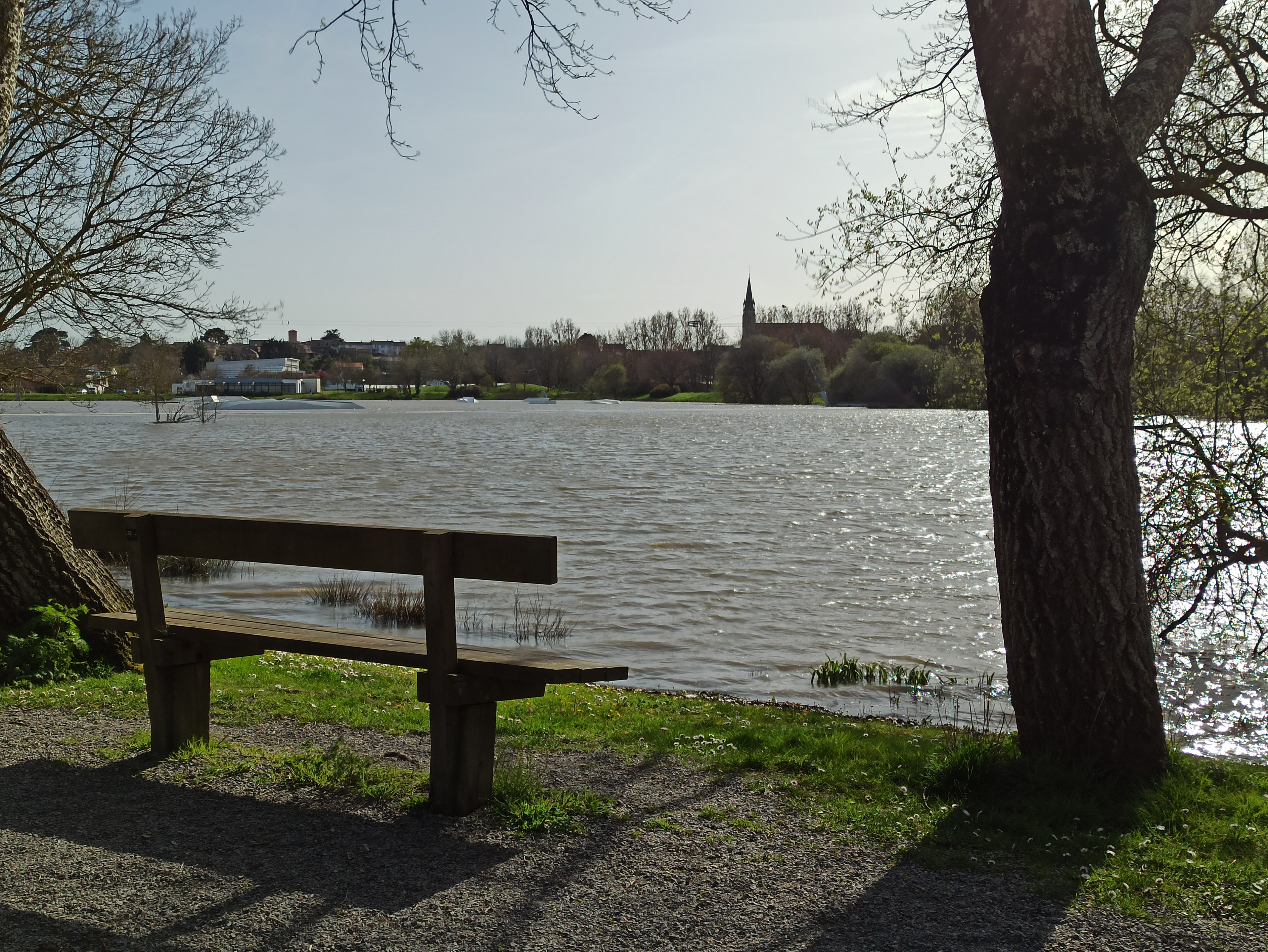 img-20230328-172721-8043_1