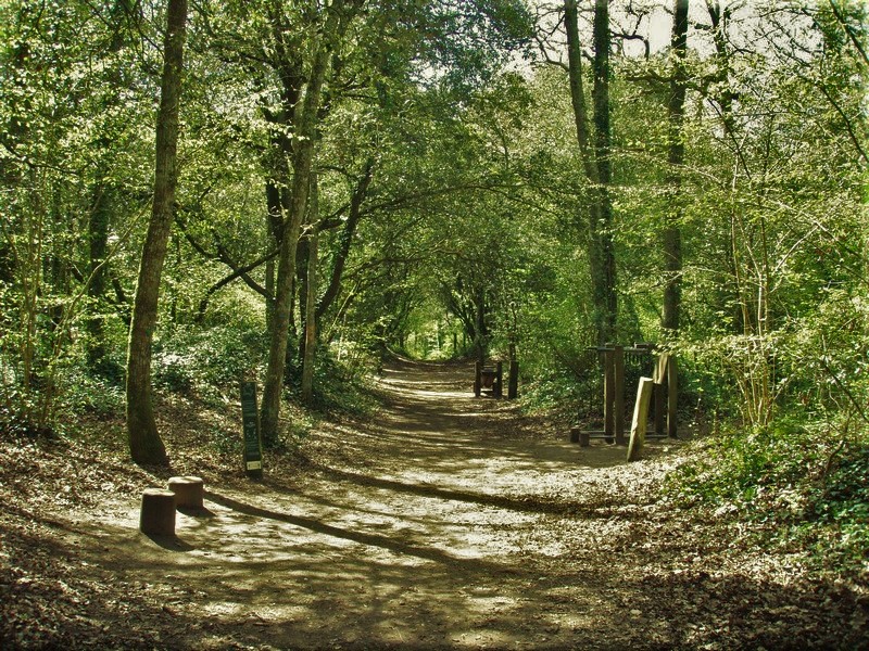 La Petite Marchande_1