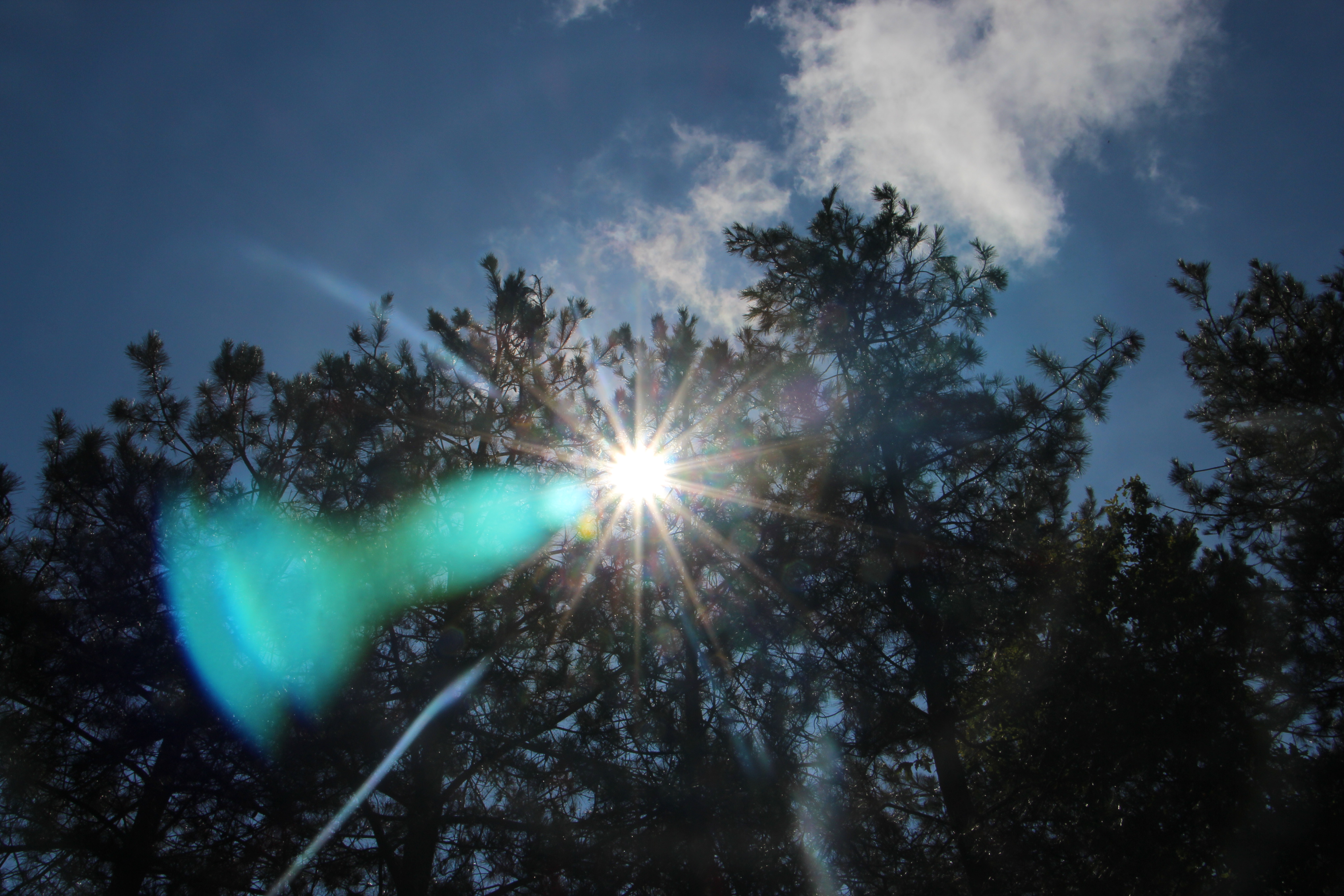 La Fontaine Cantrais