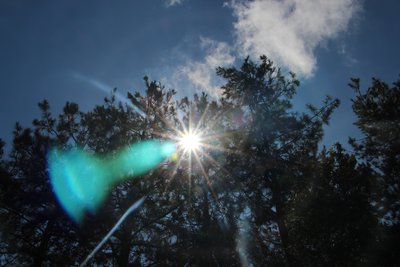 La Fontaine Cantrais