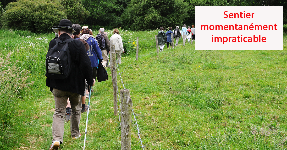 Sentier Farinel / Moisdon-la-Rivière