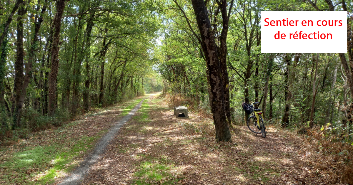 St Vincent des Landes - Sentier des bois