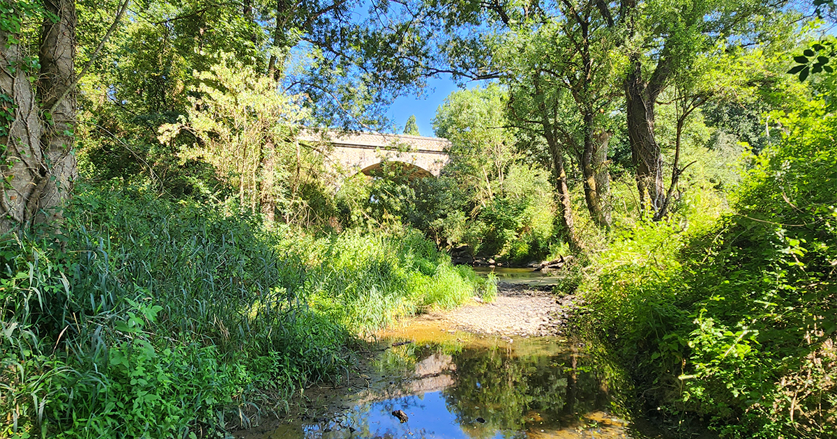 St Vincent des Landes - Sentier des 3 ponts