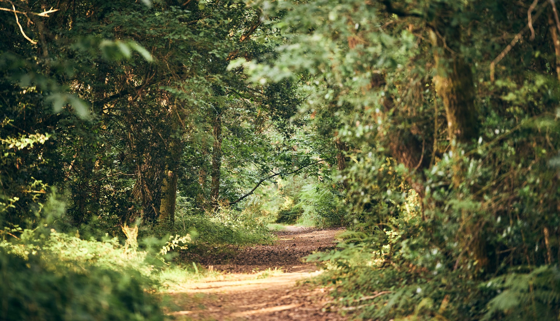 La rando des Potiers - Herbignac_1