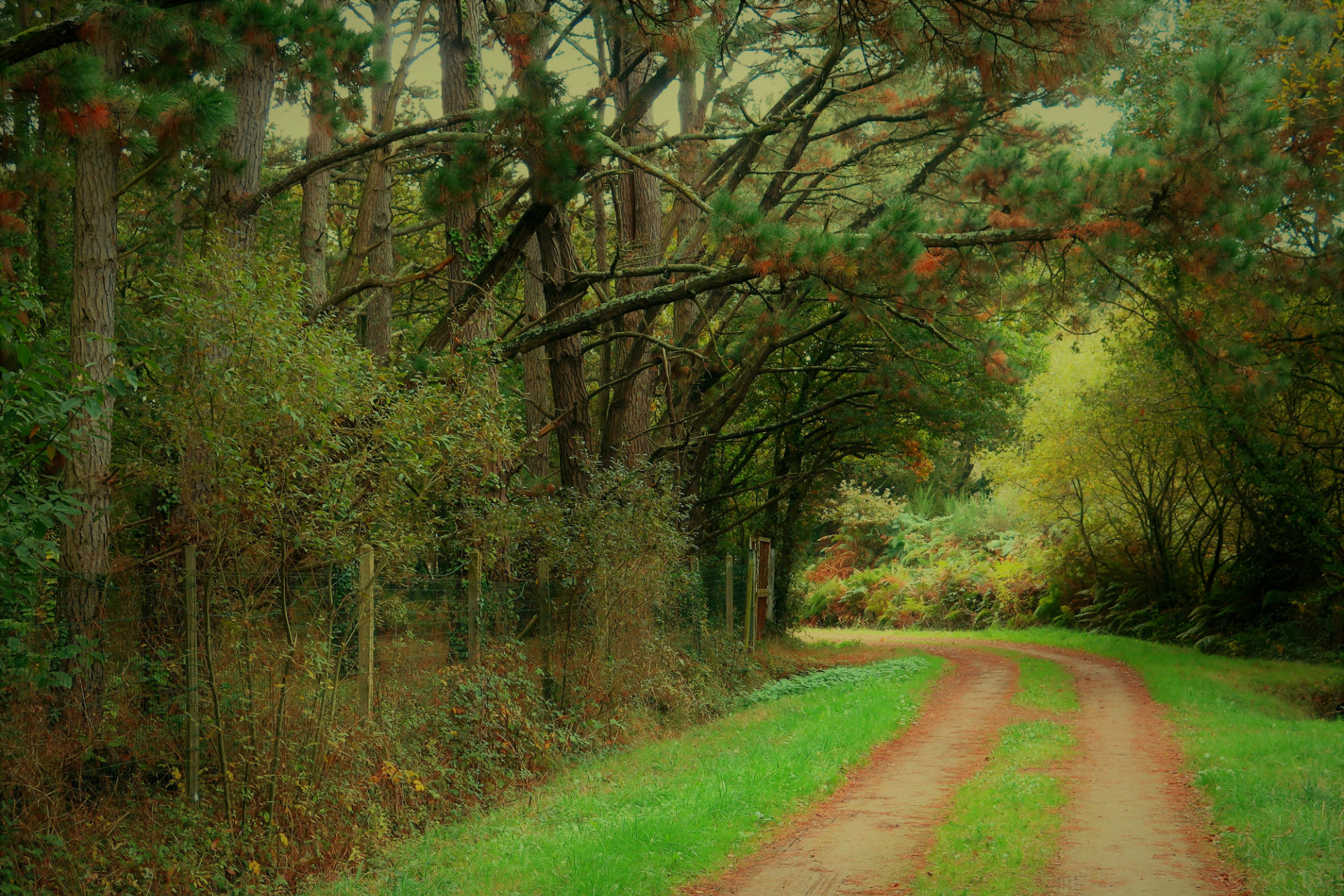 butte-de-guelan-1617841_1