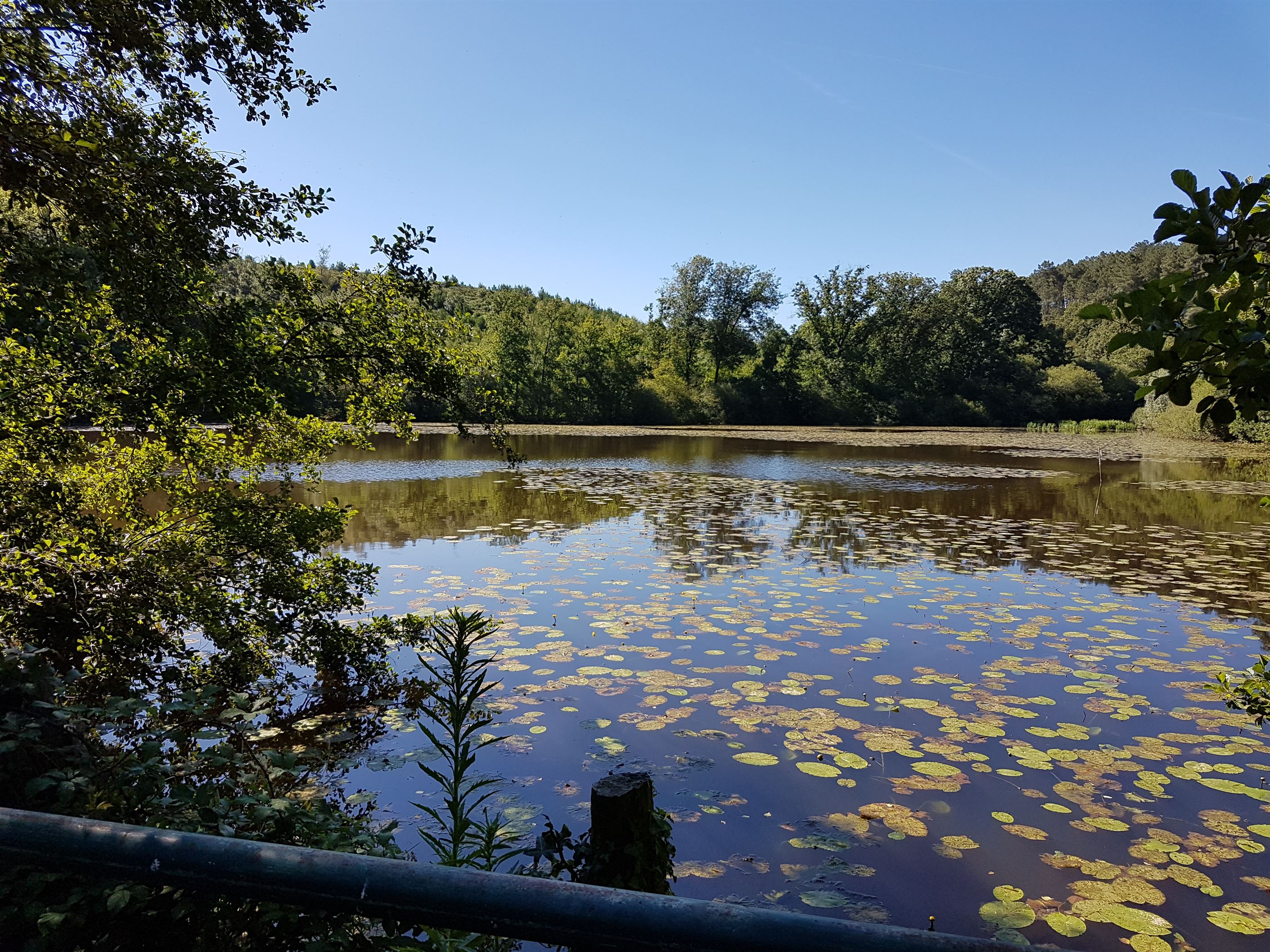 L'étang de la Vallée_1