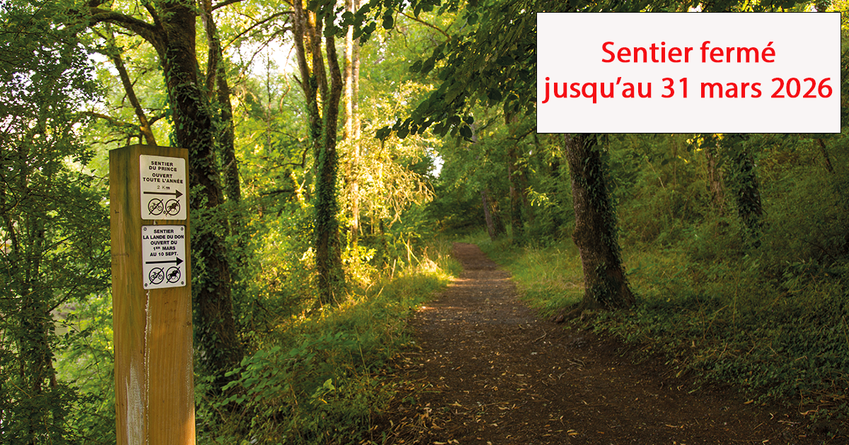 Sentier La Lande du Don - Moisdon la Rivière