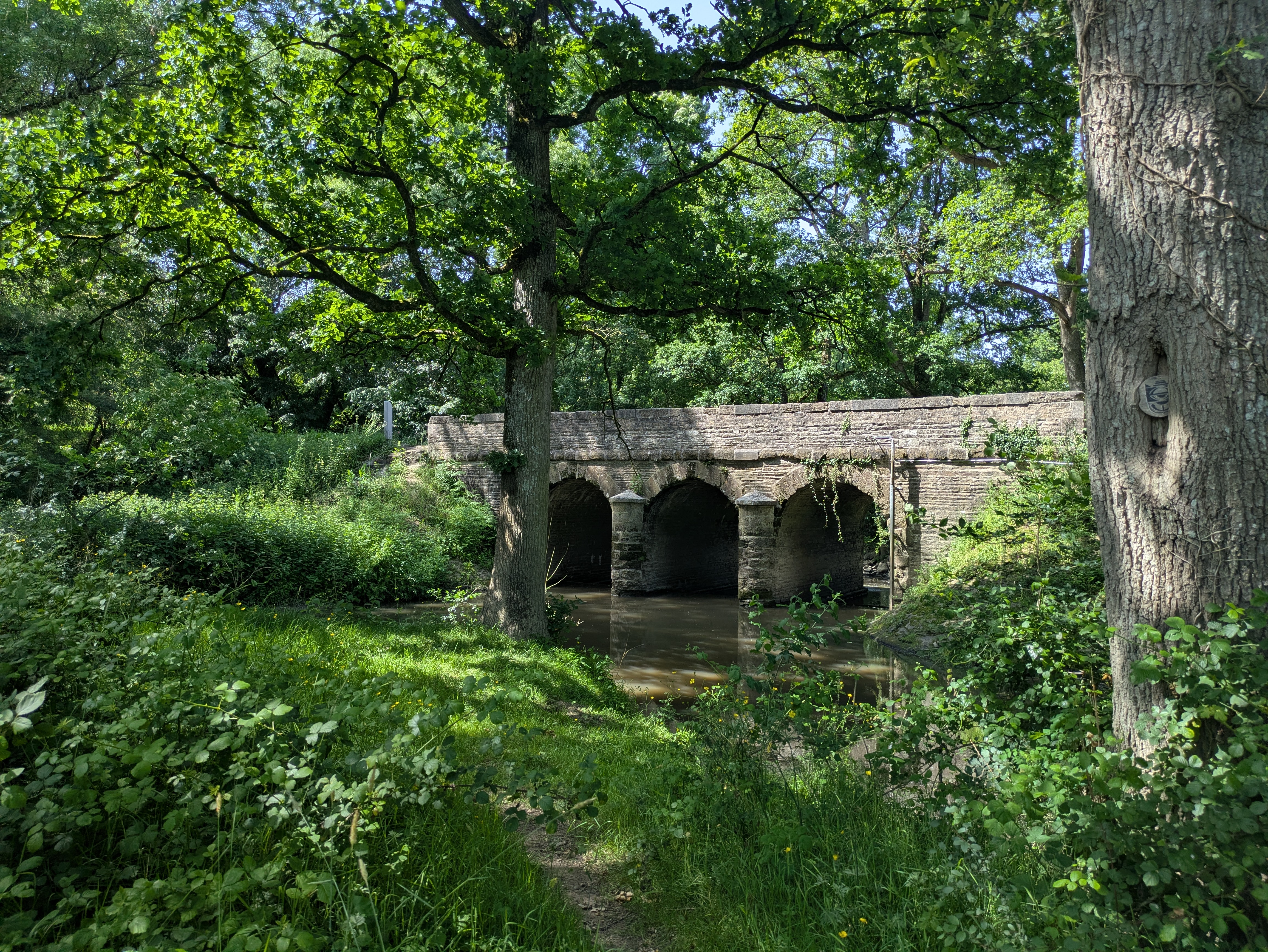 PXL_20260522_142335502