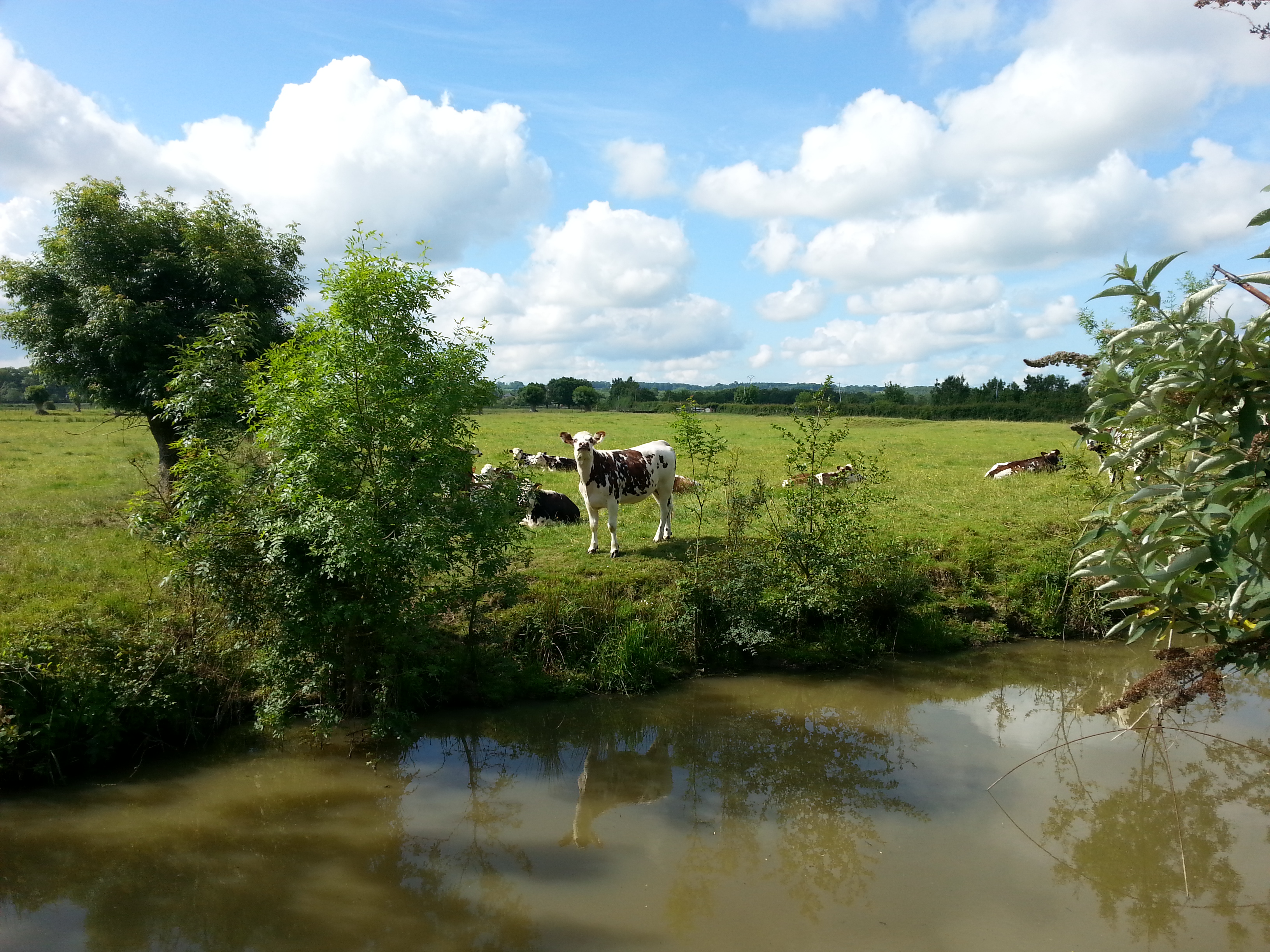 l-ile-adet1-ccse-10198_1