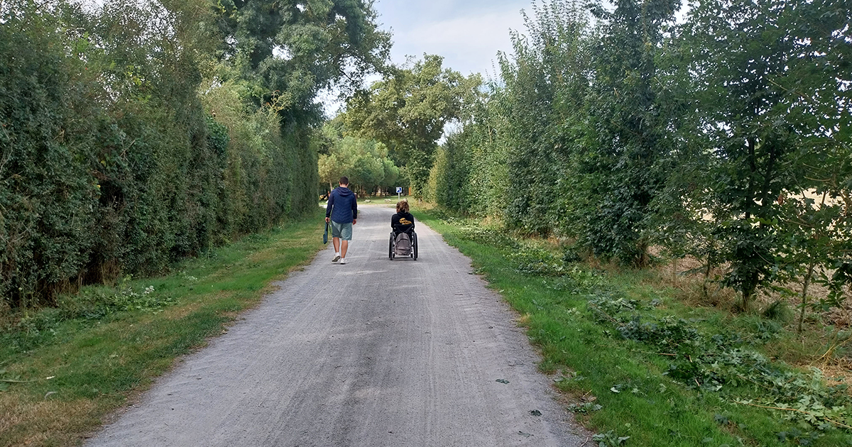 Chemin du Bois du Don