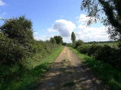 Autour de l'Ardivais_Donges_Revin