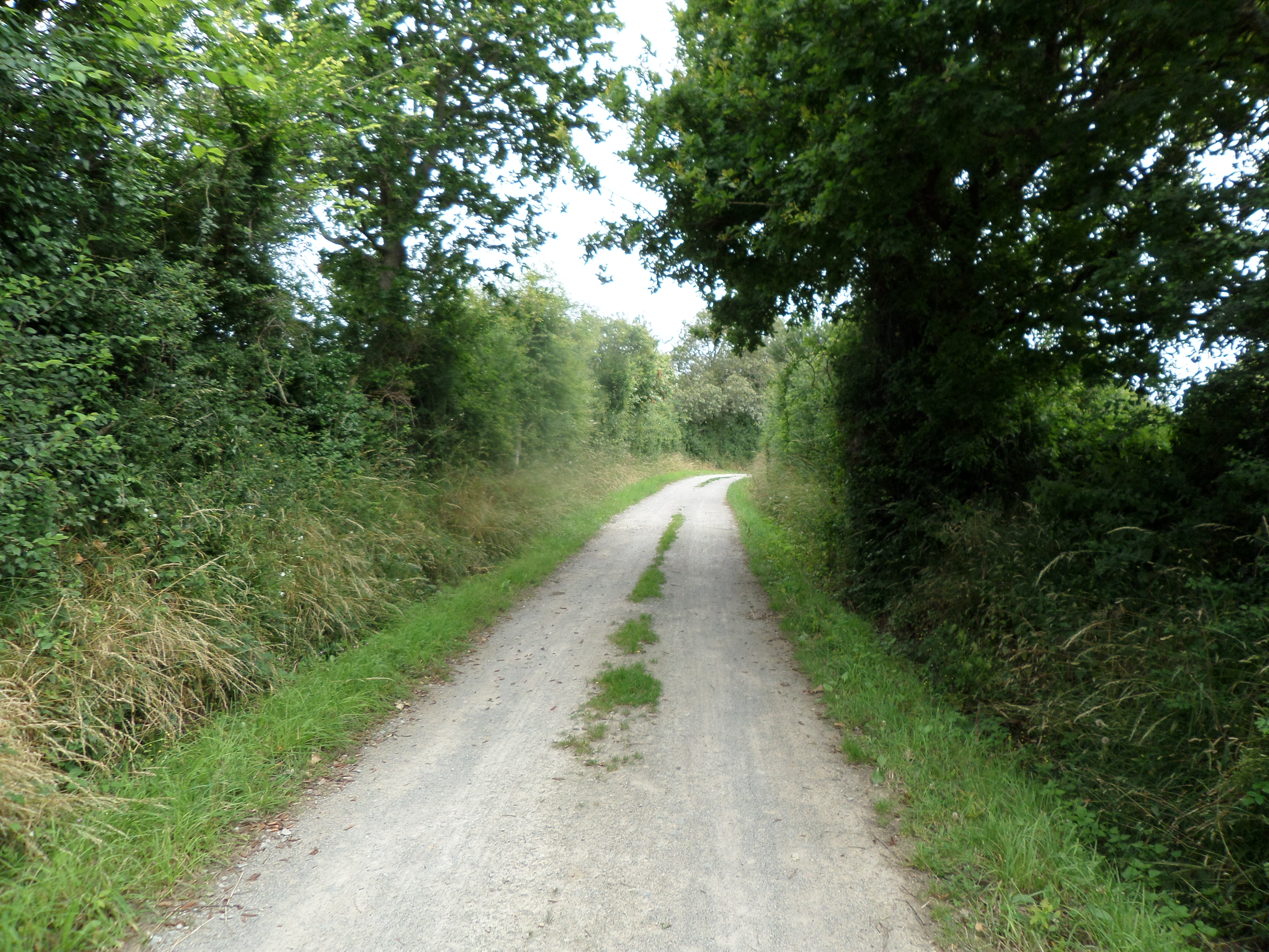 Les coteaux maritimes_Saint-Nazaire