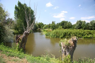 circuit-randonnees-ile-adet-frossay-ccse-st-brevin-loire-atlantique-14_1