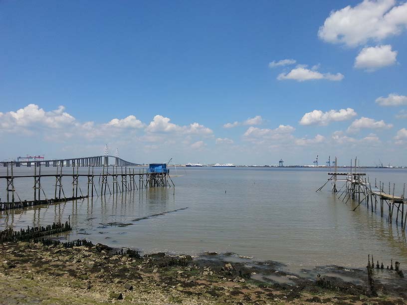 randonnees-st-brevin-sud-estuaire-ccse-loire-atlantique-estuaire-loire-2-1489_1