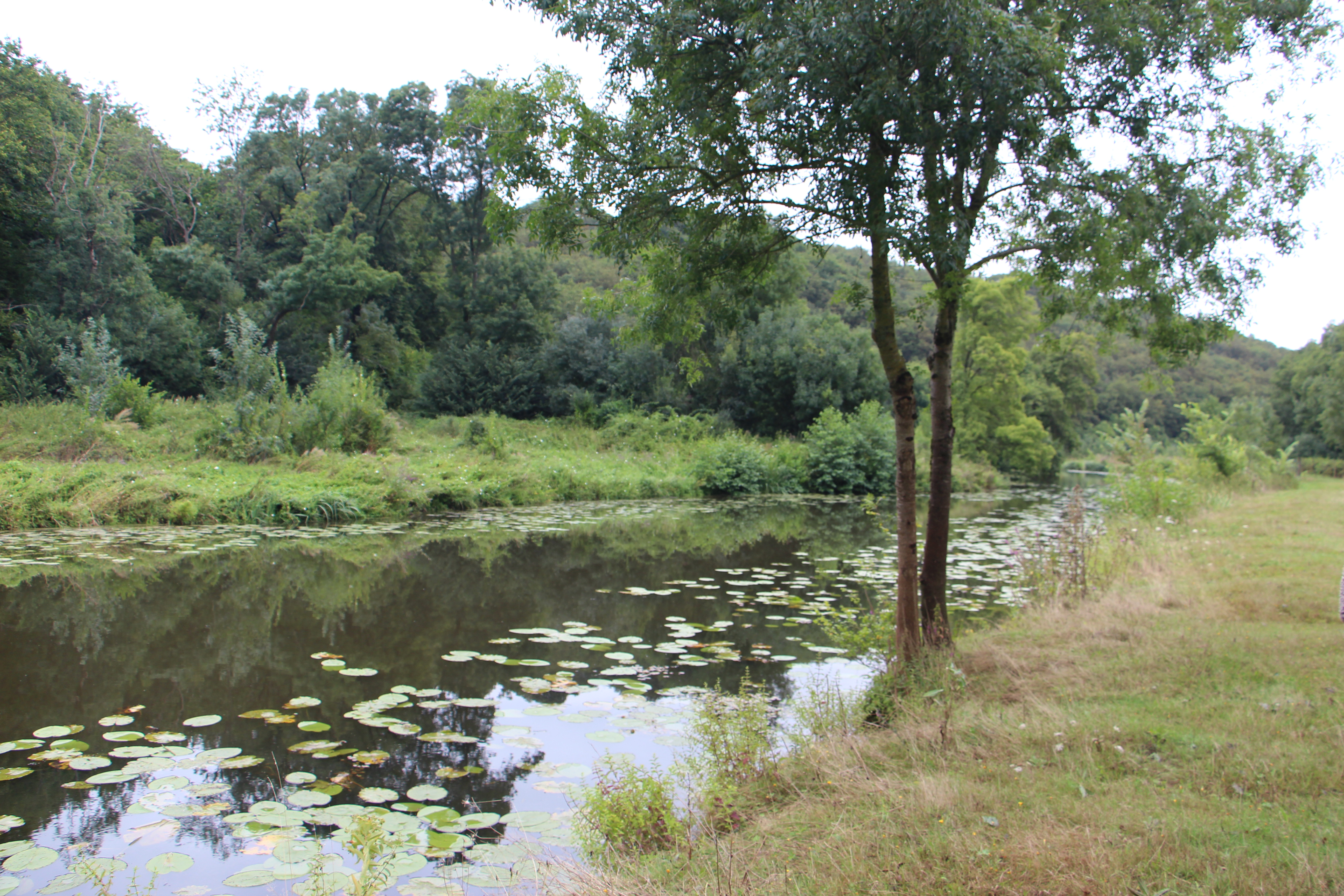 Oudon